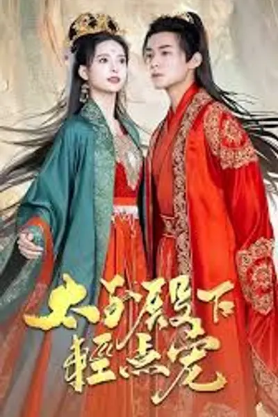太子殿下轻点宠