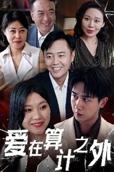 爱在算计之外