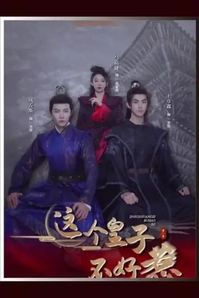 这个皇子不好惹