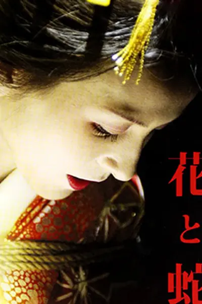 花与蛇2004