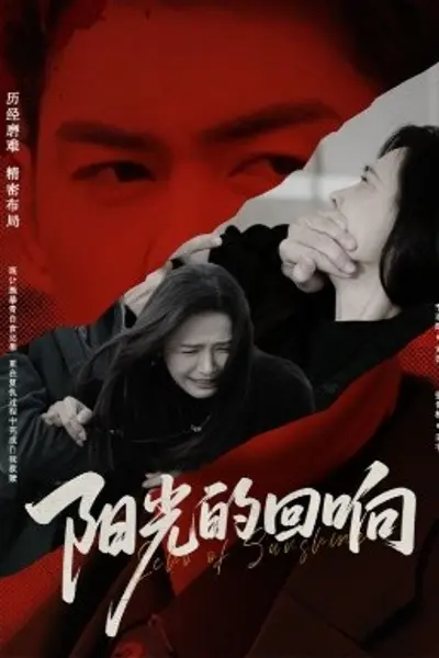 阳光的回响