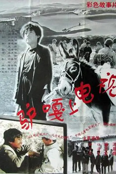 驴嘎上电视