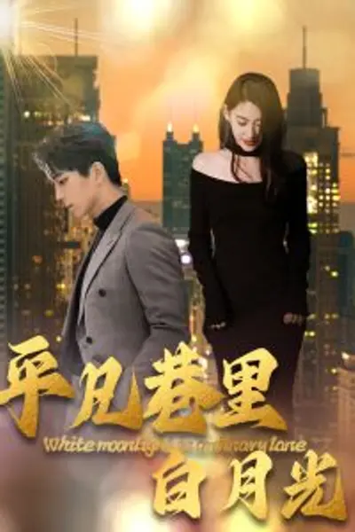 平凡巷里白月光