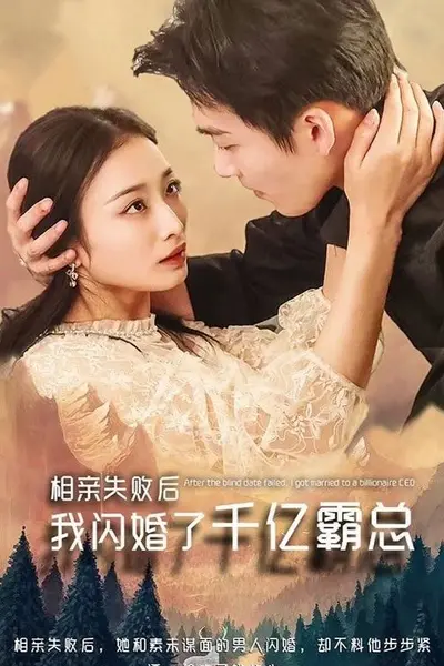 相亲失败,我闪婚了个千亿霸总
