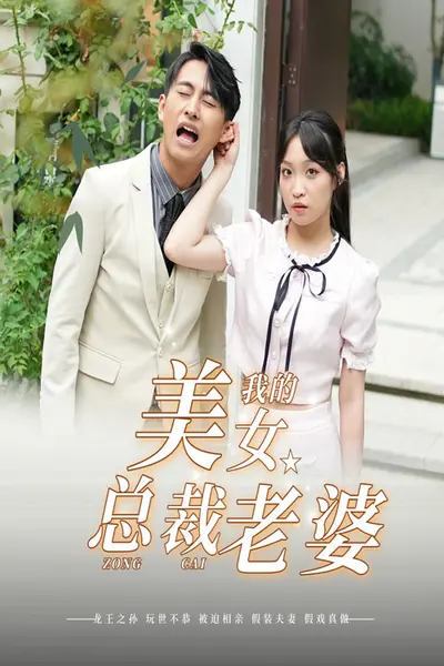 我的美女总裁老婆