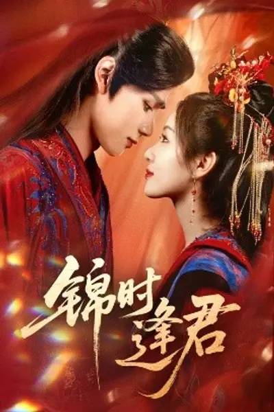 锦时逢君