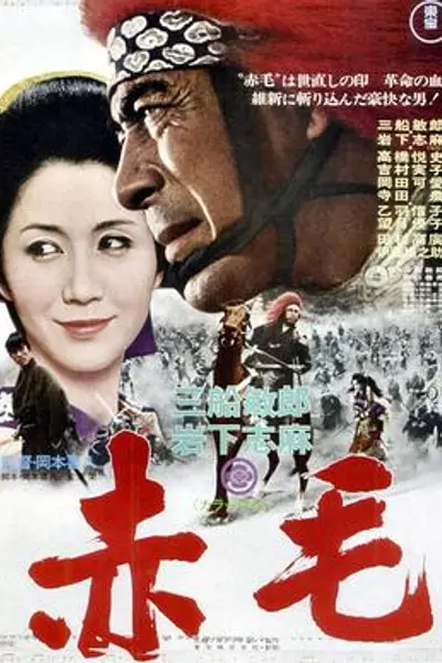 赤毛