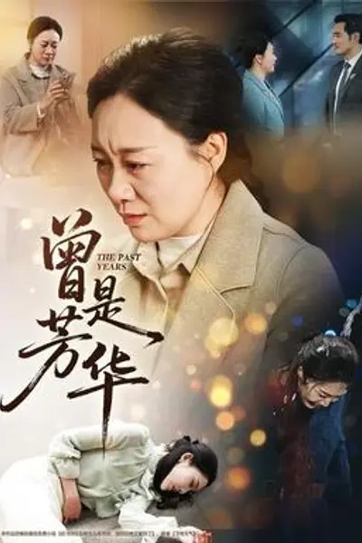 曾是芳华