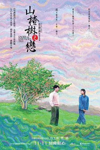 山楂树之恋