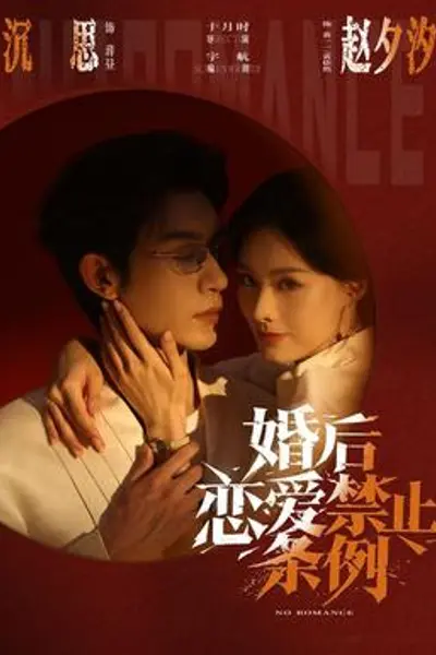 婚后恋爱禁止条例