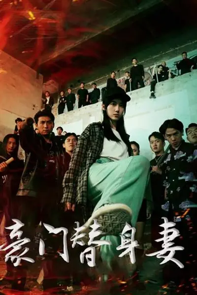 豪门替身妻