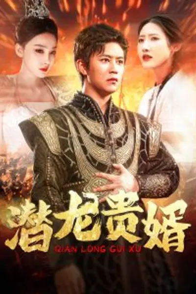 潜龙贵婿