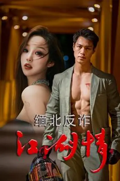 缅北反诈江湖情
