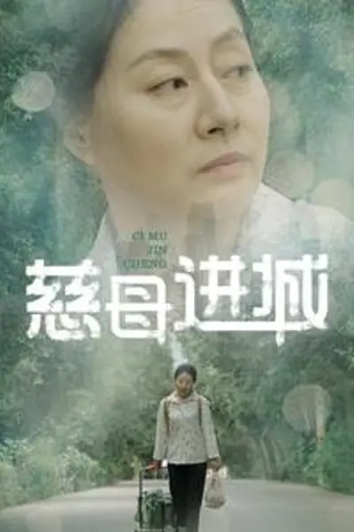 慈母进城