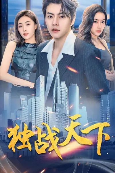 独战天下