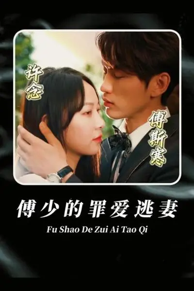傅少的罪爱逃妻