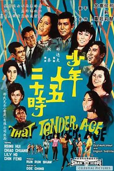 少年十五二十时
