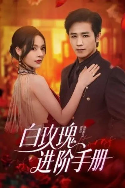 白玫瑰进阶手册