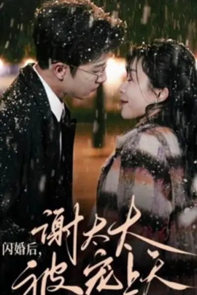 闪婚后，谢太太被宠上天