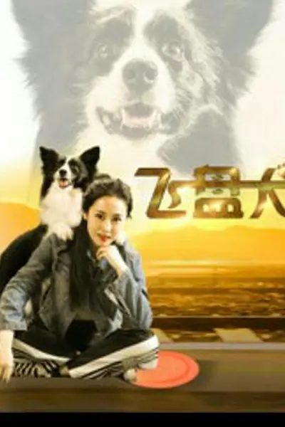 飞盘犬