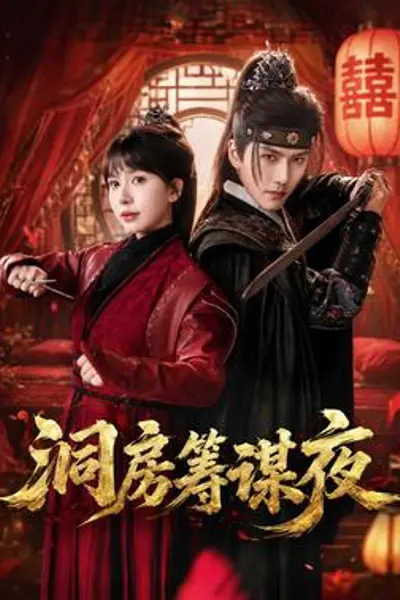 洞房筹谋夜