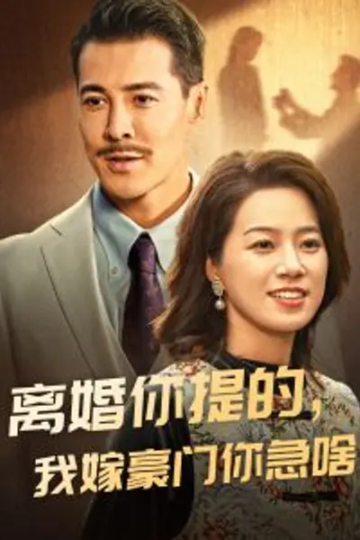 离婚你提的，我嫁豪门你急啥