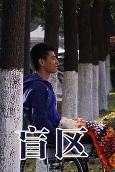 盲区