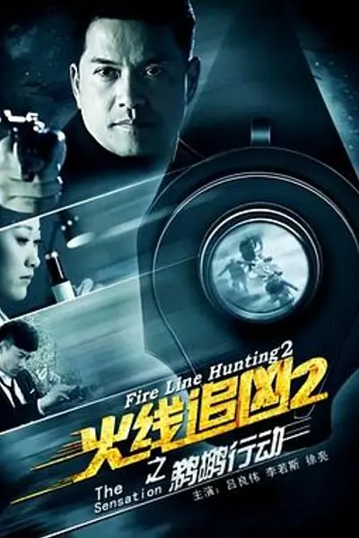 火线追凶2之鹈鹕行动