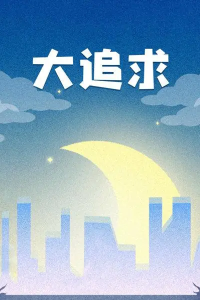 大追求