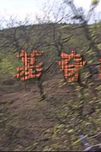 古墓奇缘