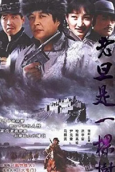 老旦是一棵树