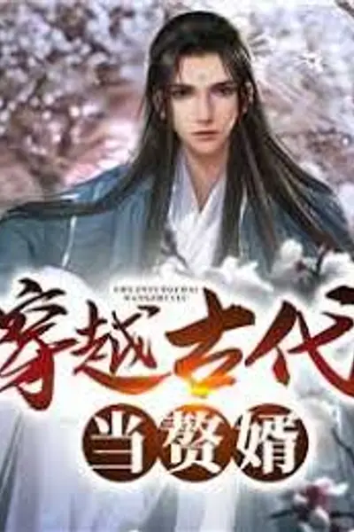 穿越古代当赘婿