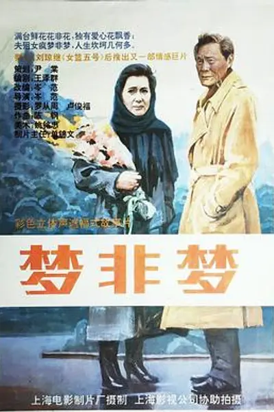 梦非梦