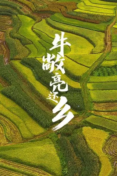 牛敞亮还乡