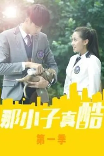 那小子真酷第一季