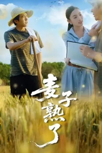 麦子熟了