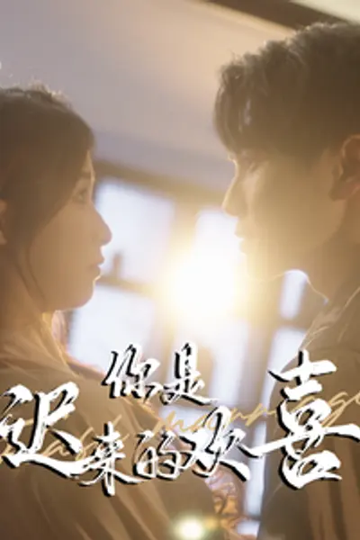 你是迟来的欢喜78集