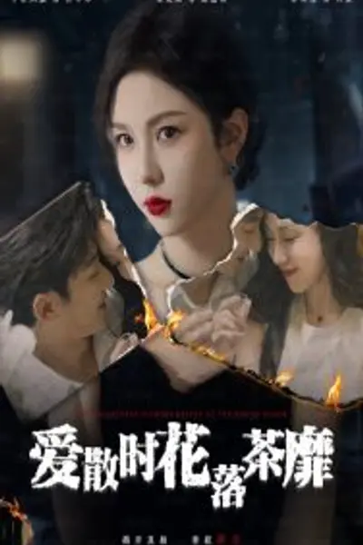 爱散时花落茶靡