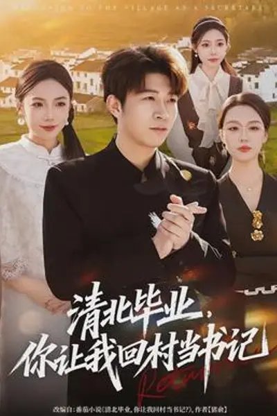 清北毕业，你让我回村当书记