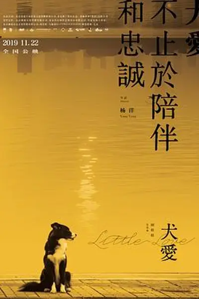 犬爱