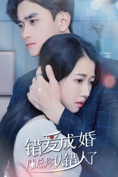 错爱成婚：陆总你认错人了