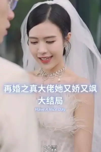 再婚之真大佬她又娇又飒