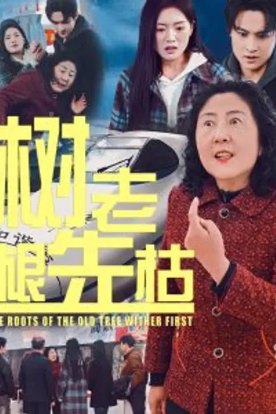 树老根先枯