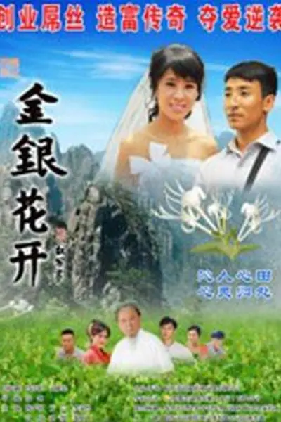 金银花开