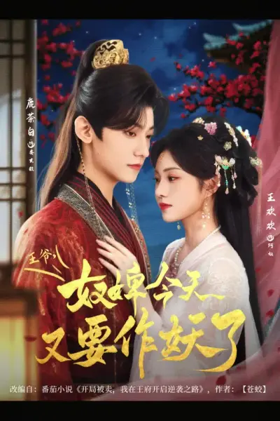 王爷奴婢今天又要作妖了