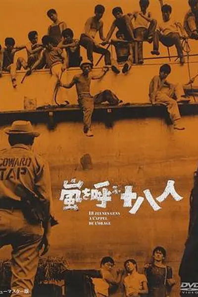风暴时代