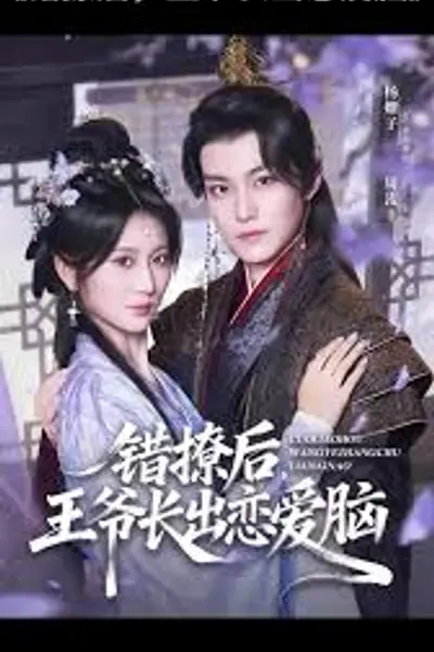 错撩后王爷长出恋爱脑