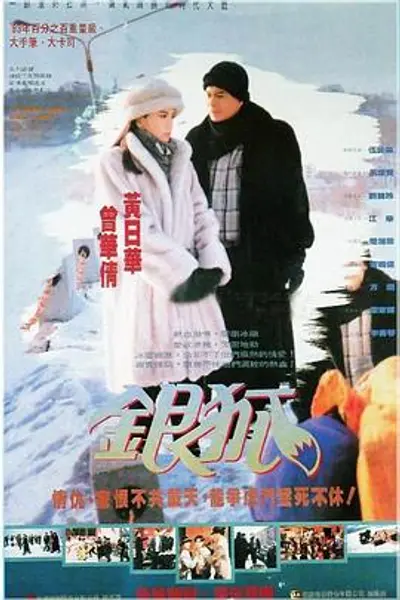 银狐国语