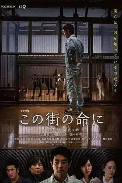 为了这条街的生命