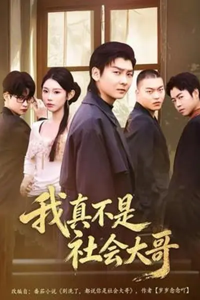 我真不是社会大哥